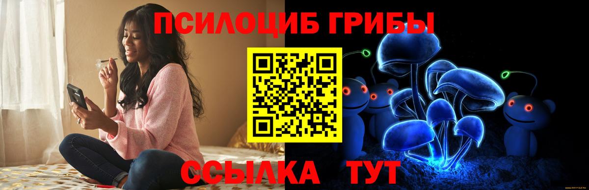 Псилоцибиновые грибы Cubensis  Вход с VPN  Челябинск 